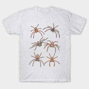 Huntsman Spider Pattern T-Shirt